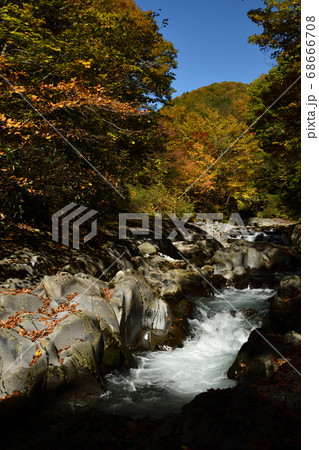 裏磐梯中津川渓谷の紅葉 68666708