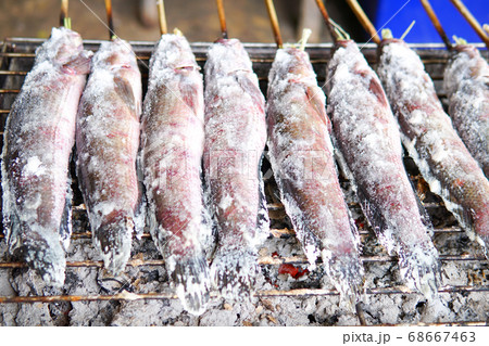 Striped snakehead fish grilled with salt. Pomegranate fish with salt and then burned for sales in the market. Striped snakehead fish grilled with salt. Pomegranate fish with salt and then burned for sales in the market. 68667463