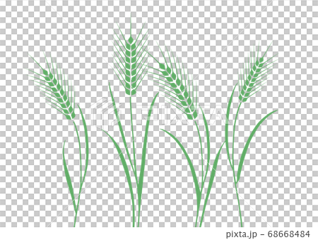 麦畑イラスト 麦畑イラスト 68668484