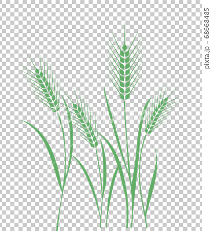 麦畑イラスト 68668485