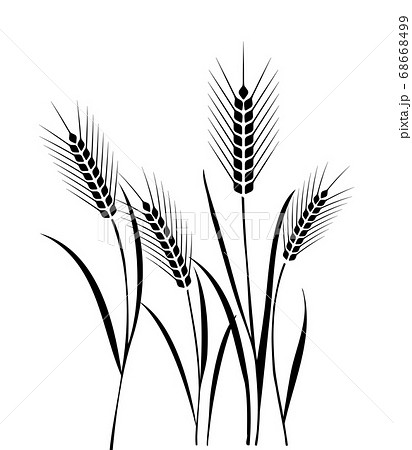 麦畑イラストのイラスト素材 68668499 Pixta