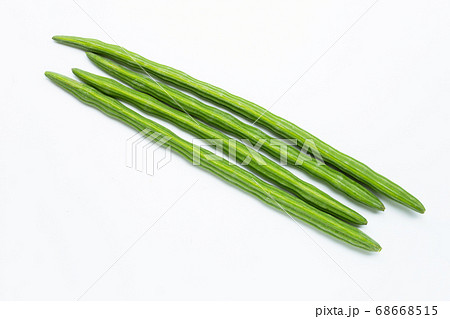 Moringa oleifera isolated on white background. Moringa oleifera isolated on white background. 68668515