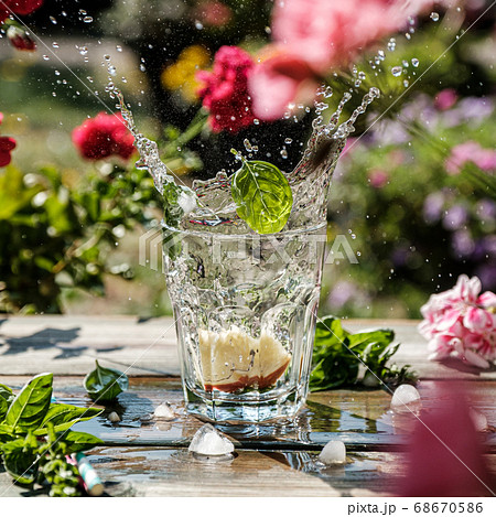 Splash of lemonade 68670586