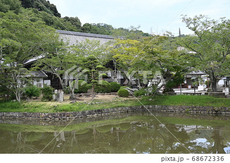 根来寺 光明殿 聖天池 根来寺 光明殿 聖天池 68672336