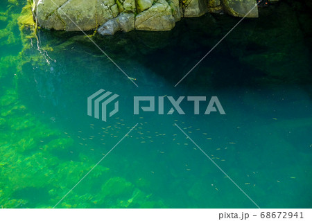 天川村の清流と魚（奈良県吉野郡天川村） 68672941