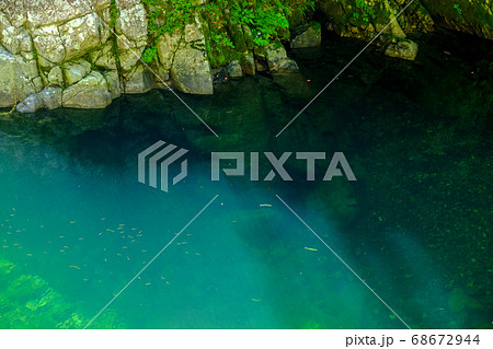 天川村の清流と魚（奈良県吉野郡天川村） 68672944