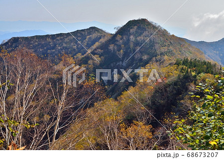 五竜岳登山道 遠見尾根の紅葉(黄葉) 五竜岳登山道 遠見尾根の紅葉(黄葉) 68673207