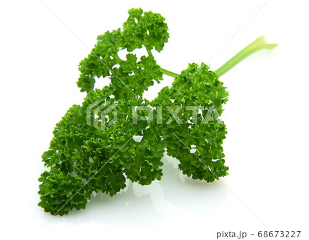 Parsley Parsley 68673227