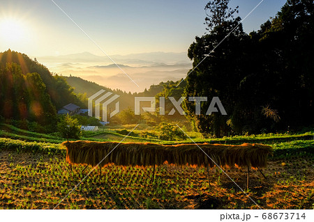 高見山と棚田の夜明け（奈良県宇陀市） 68673714