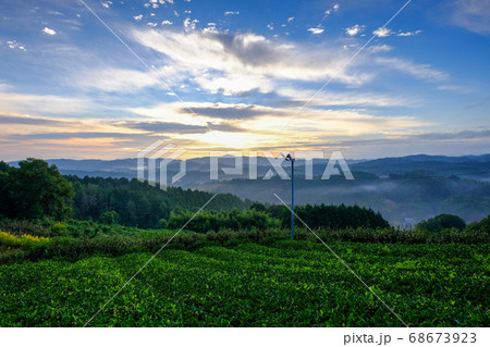 茶畑の夜明け(奈良県山辺郡山添村) 茶畑の夜明け(奈良県山辺郡山添村) 68673923