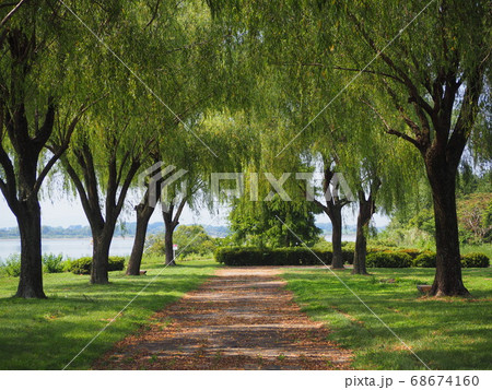 渡良瀬遊水地 68674160