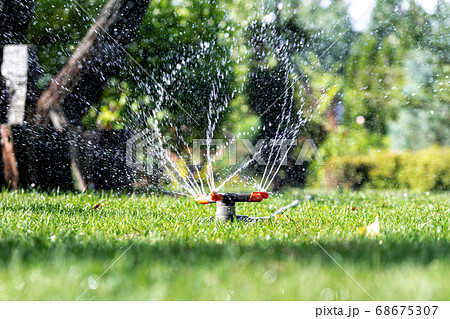 Landscape automatic garden watering system with different rotating sprinklers installed on turf. Landscape design with lawn and fruit garden irrigated with smart autonomous sprayers at sunset time 68675307