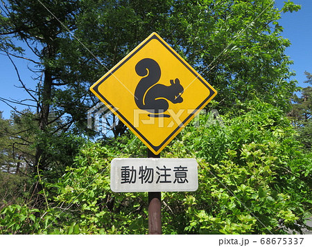 動物注意の道路標識がある風景の写真素材