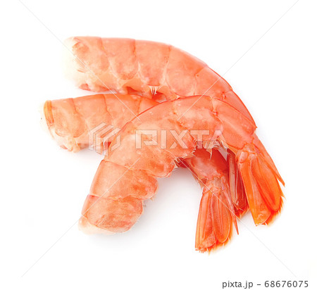 shrimp shrimp 68676075