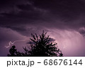 Silhouette of a tree top on a thunderstorm 68676144