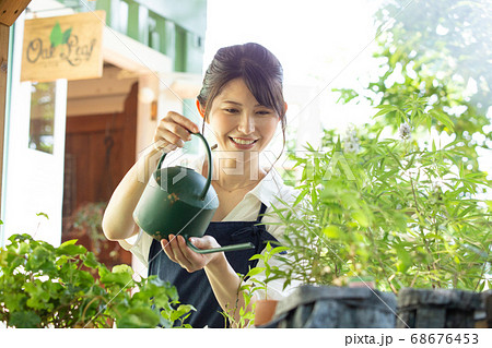 ガーデニングをする若い女性 撮影協力:三富今昔村 ガーデニングをする若い女性 撮影協力:三富今昔村 68676453