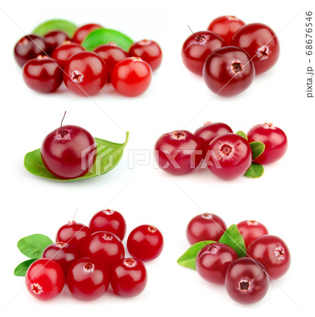 Collage of cranberries Collage of cranberries 68676546