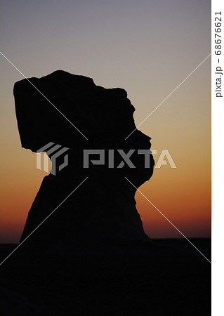 バハレイヤオアシス バハレイヤオアシス 68676621