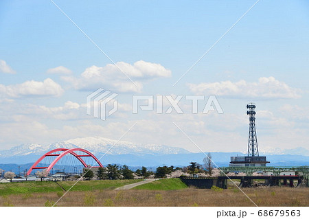 大河津分水の桜並木（新潟県） 68679563