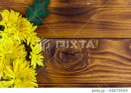 Yellow chrysanthemums on wooden background 68679564