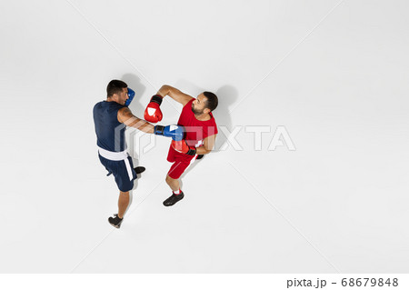 Two professional boxers boxing isolated on white studio background, action, top view 68679848