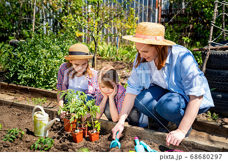mom and her cute daughters planting seedlings 68680297