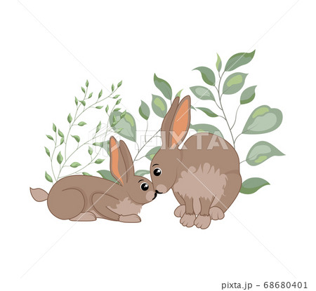 woodland animals woodland animals 68680401