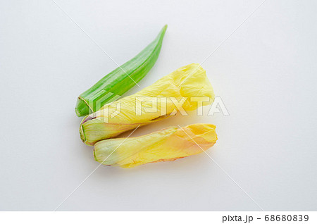 花オクラ 食用の写真素材