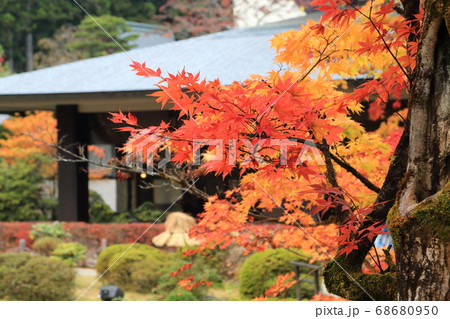 日光山輪王寺の庭園 逍遥園(しょうようえん) 日光山輪王寺の庭園 逍遥園(しょうようえん) 68680950