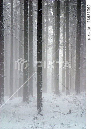 Winter landscape trees under snow Winter landscape trees under snow 68681560