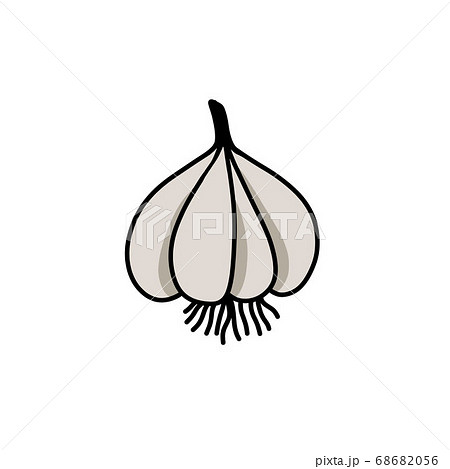 garlic doodle icon, vector color line illustration garlic doodle icon, vector color line illustration 68682056