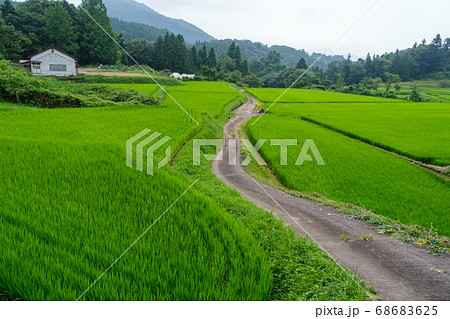 一本道と校舎 68683625