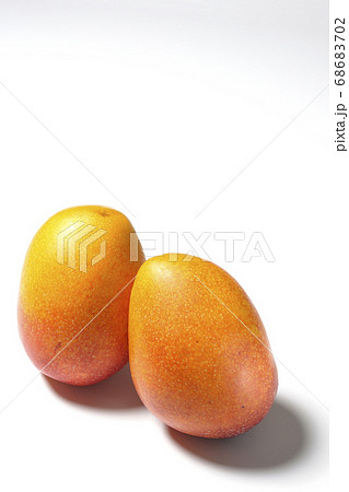 白背景で撮影した2つの寄り添う完熟マンゴー 白背景で撮影した2つの寄り添う完熟マンゴー 68683702