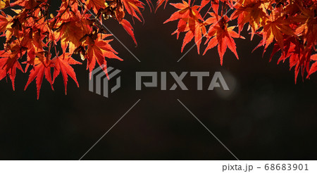 川沿いの紅葉のクローズアップ 川沿いの紅葉のクローズアップ 68683901