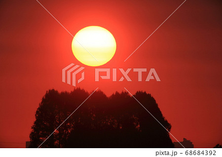 日の出 日の出 68684392
