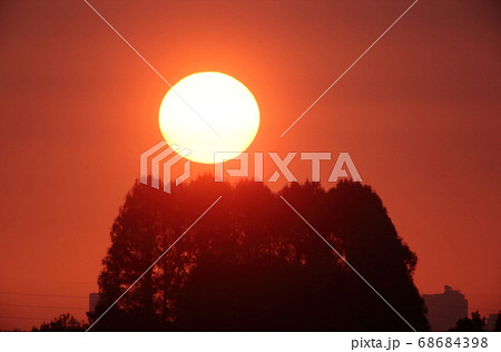 日の出 日の出 68684398