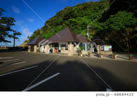 【鹿児島県 佐多岬】 佐多岬駐車場のガジュマル 68684433