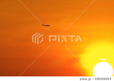 夕暮の中、横田基地でを飛行訓練するC-130ハーキュリーズ 68688884