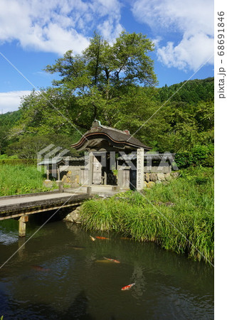 福井県　一乗谷　朝倉義景館跡の門と堀　鯉 68691846