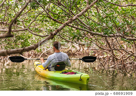 Kayaking in mangrove tunnels of Islamorada in the Keys, Florida, USA 68691909
