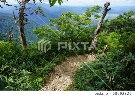 荒島岳 勝原コースの登山道 荒島岳 勝原コースの登山道 68692329