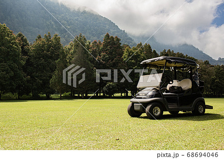 A truck that is sitting in the grass 68694046