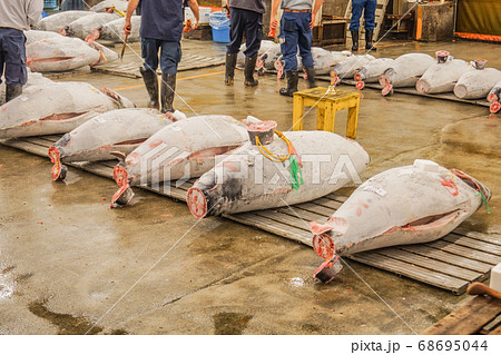 築地市場のマグロの競り 68695044