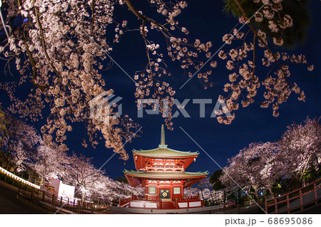 寺と夜桜 68695086