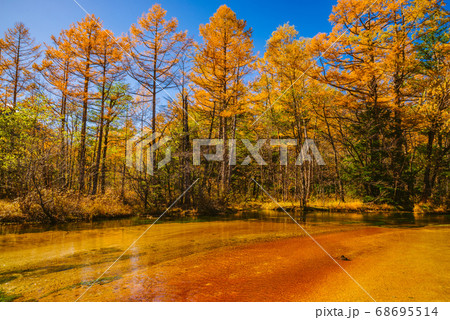 秋の上高地・田代池【長野県】 秋の上高地・田代池【長野県】 68695514