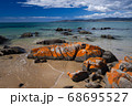 タスマニアの海岸の地衣類の着いた花崗岩 68695527