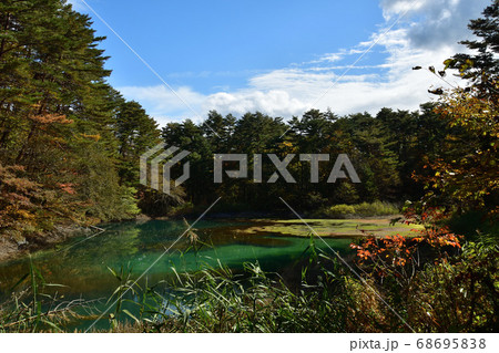 裏磐梯五色沼の紅葉 裏磐梯五色沼の紅葉 68695838