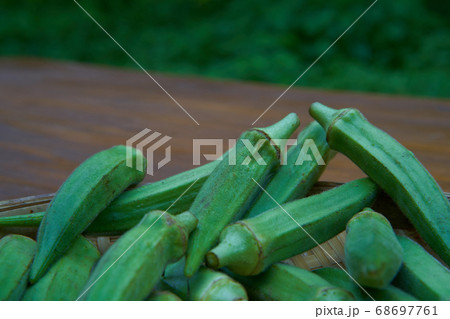 オクラは夏の野菜。 68697761