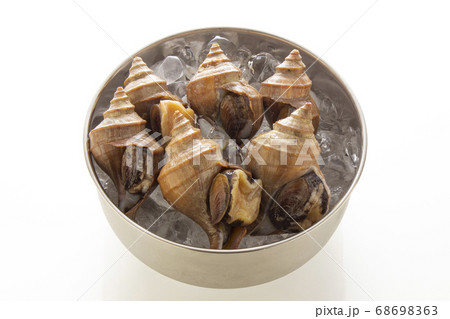 新鮮なつぶ、蝦夷ボラ貝 新鮮なつぶ、蝦夷ボラ貝 68698363
