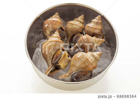 新鮮なつぶ、蝦夷ボラ貝 68698364